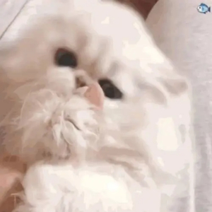 和大鸡巴美国大鸡巴黄色三级片黄色片
